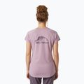 Koszulka damska Helly Hansen Nord Graphic Drop purple clay 2