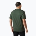 Koszulka męska Helly Hansen Box T 2.0 jungle green 2
