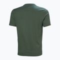 Koszulka męska Helly Hansen Box T 2.0 jungle green 5