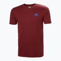 Koszulka męska Helly Hansen Nord Graphic mars red 4