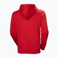 Bluza męska Helly Hansen HH Logo Hoodie red 6