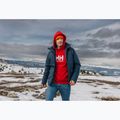 Bluza męska Helly Hansen HH Logo Hoodie red 7