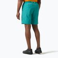 Spodenki żeglarskie męskie Helly Hansen Hp Sirocco 9" dark mint 2