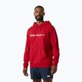 Bluza męska Helly Hansen Core Graphic Hoodie red