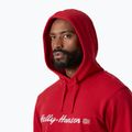 Bluza męska Helly Hansen Core Graphic Hoodie red 3