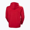 Bluza męska Helly Hansen Core Graphic Hoodie red 6