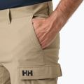 Spodenki żeglarskie męskie Helly Hansen QD Cargo 11" pebble 3