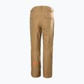 Spodnie narciarskie męskie Helly Hansen Sogn Cargo elmwood 7