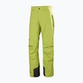 Spodnie narciarskie męskie Helly Hansen Legendary Insulated pulse green