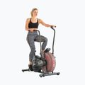 Rower powietrzny Schwinn Airdyne Ad2I 2