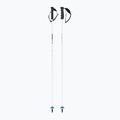 Kije narciarskie HEAD Worldcup Rebels Carbon white