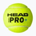 Piłki do padla HEAD Padel Pro+ 3 szt. yellow 3