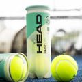 Piłki do padla HEAD Padel One S 3 szt. yellow 2