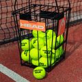 Kosz na piłki tenisowe HEAD Ball Basket With Separator 7
