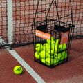 Kosz na piłki tenisowe HEAD Ball Basket With Separator 8