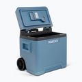Lodówka turystyczna termoelektryczna Igloo IE42 ACDC 42 l ice blue 9