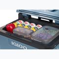 Lodówka turystyczna termoelektryczna Igloo IE42 ACDC 42 l ice blue 12