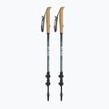 Kije trekkingowe Silva Trekking Poles Carbon Telescopic black