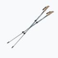 Kije trekkingowe Silva Trekking Poles Alu Tele black 2