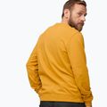 Bluza męska Fjällräven 1960 Logo Badge Sweater mustard yellow 4