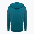 Bluza męska Fjällräven Logo Hoodie deep sea 2