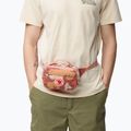 Saszetka nerka Fjällräven Kanken Graphics Hip Pack chalk rose/hidden animals 5