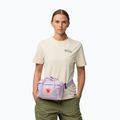 Saszetka nerka Fjällräven Kanken 4 l pastel lavender 4