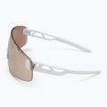 Okulary przeciwsłoneczne POC Elicit Toric hydrogen white/clarity trail/partly sunny silver 5