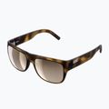 Okulary przeciwsłoneczne POC Want tortoise brown/clarity trail/partly sunny silver