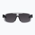 Okulary przeciwsłoneczne POC Aspire argentite silver/clarity define silver 3