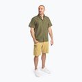 Spodenki trekkingowe męskie Pinewood Abisko Light Stretch golday hay 2