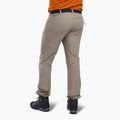 Spodnie trekkingowe męskie Pinewood Finnveden Sports Light mole brown 2