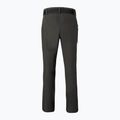 Spodnie trekkingowe męskie Pinewood Finnveden Sports Light ash grey 7