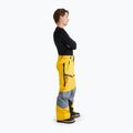 Spodnie narciarskie męskie Peak Performance Gravity GoreTex pure gold 4