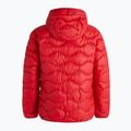 Kurtka puchowa męska Peak Performance Helium Down Hood the alpine 2