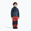 Bluza polarowa dziecięca Didriksons Monte 6 Half Button mountain blue 4