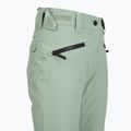 Spodnie snowboardowe damskie Colourwear Cork lt sage 4