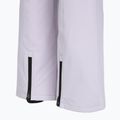 Spodnie snowboardowe damskie Colourwear Cork lilac 4