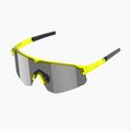 Okulary przeciwsłoneczne Tripoint 005 Lake Victoria transparent neon yellow/smoke 3