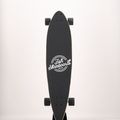 Deskorolka longboard Fish Skateboards Longboard Pixie 9