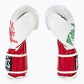 Rękawice bokserskie Cleto Reyes Velcro Sparring red/white green red 4