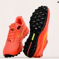 Buty do biegania damskie Saucony Peregrine 12 coral/redrock 13