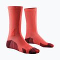 Skarpety męskie X-Socks Trailrun Discover Crew fluo red/namib red