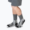 Skarpety X-Socks Run Expert Silk Merino Crew seal grey/light sand 6