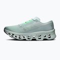Buty do biegania męskie On Cloudmonster 3 brook/flurry 2