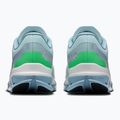 Buty do biegania męskie On Cloudflow 5 flurry/wash 4