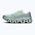 Buty do biegania damskie On Cloudmonster 3 brook/flurry 2