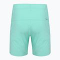 Spodenki do biegania męskie SCOTT Endurance LT miami green 2