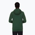 Bluza trekkingowa męska Mammut ML Hoody Circle woods 3