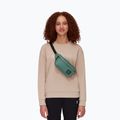 Saszetka nerka Mammut Xeron Classic 2 l dark jade 7